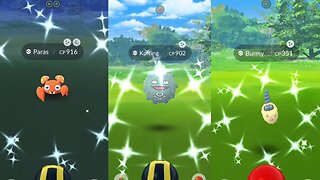 Shiny Hunting and Ho Oh Raids