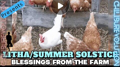 Litha/Summer Solstice Blessings from the Farm