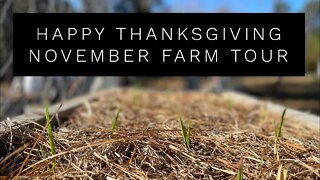 Happy Thanksgiving- November Farm Tour