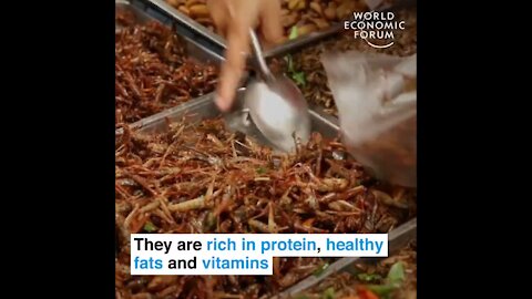 Great Reset: World Economic Forum Wants Citizens To Eat Bugs