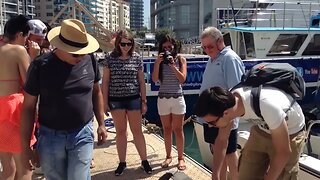 Tuna Fishing. Gibraltar.