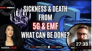 Nick Pineault - Sickness & Death from 5G and EMF - What Can Be Done? - Maria Zeee