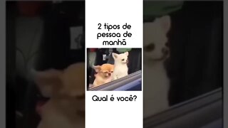 Dois tipos de pessoa pela manhã, qual delas é você?