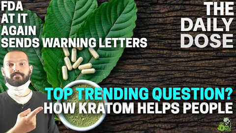 Top Trending Question Can Kratom Help People: FDA Sends Warning Letters Citing Marketing Issues