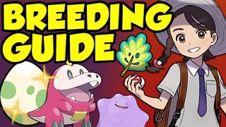 BEST POKEMON SCARLET AND VIOLET BREEDING GUIDE! How To Breed In Pokémon Scarlet and Violet!