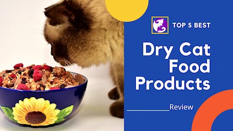 Top 5 Best Dry Cat Food Products: An Unbiased Review