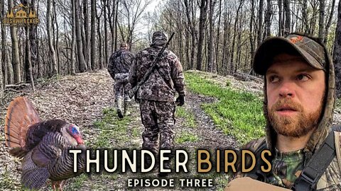 Chasing Those Ohio Turkeys | S1 E03 | Thunder Birds