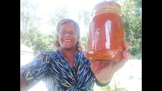 Tomato Vegetable Sauce From The Garden #3