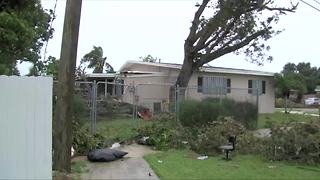 South Miami residents cleaning up storm damage