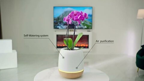 KORU: Purify Your Air & Grow Healthy Plants | World top New Technologies | we love Technologies #122