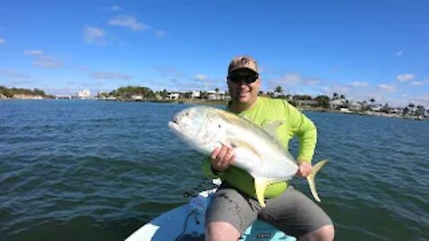 Fishing Loxahatchee River for Big Jacks