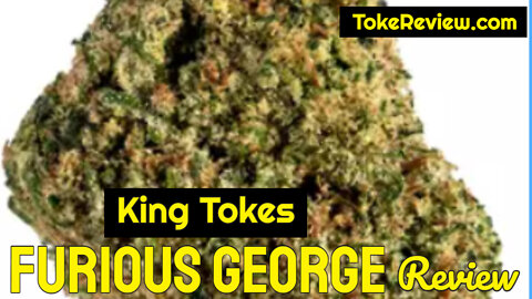 King Toke's Review of the Furious George Marijuana Strain