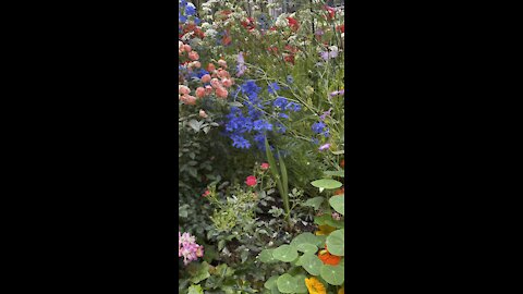 Garden in Yokohama