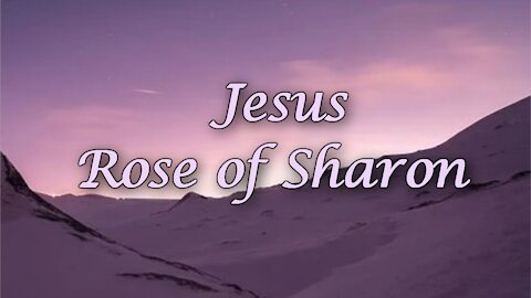 Jesus Rose of Sharon / Beautiful hymn with lyrics