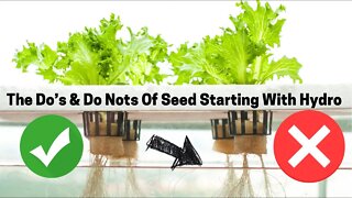 How To Start Seeds In A Hydroponic System. What Growing Medium Works Best In Root Farm & Jiffy Hydro