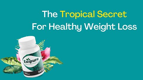 Exipure reviews-is exipure weight loss supplement worth it
