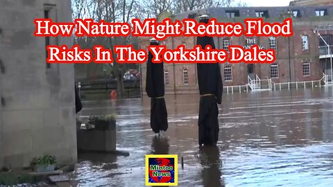 How nature might reduce flood risks in the Yorkshire Dales