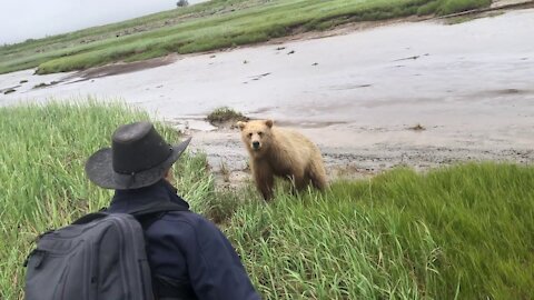 Real Grizzly Bear Charge Recorded Live