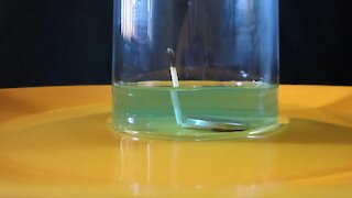 Amazing Science Experiment for kids 5