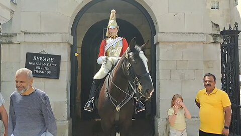 Dont touch the reins 😆 #horseguardsparade