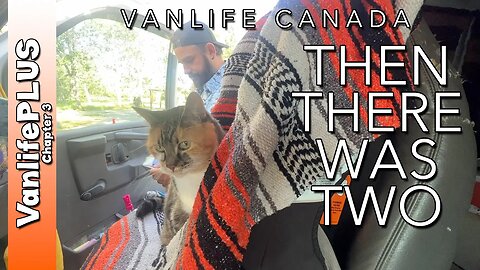 Vanlife Canada - Adjusting now that she is gone | Day in the Life