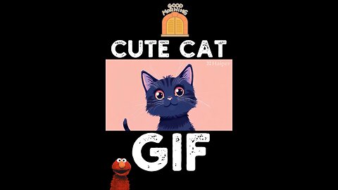 Cute Cat Gif