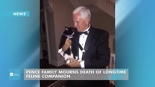 Pence Family Mourns Death Of Longtime Feline Companion