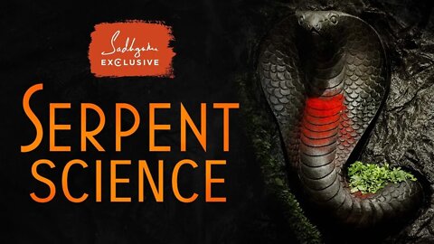 Serpent Science The Truth about Snakes' Impact on Your Life Sadhguru Exclusive #NagaDosha