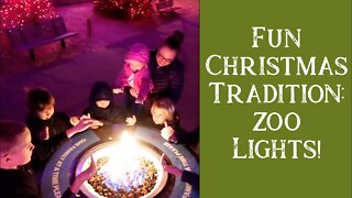 Denver Zoo Lights 2021 | Walk Through With Us