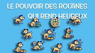 ROUTINE PARFAITE pour ton chien!✨