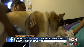 Service dog reunited with owner