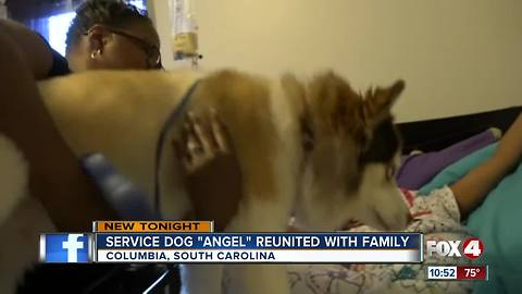 Service dog reunited with owner