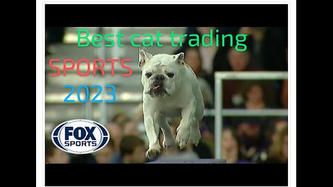 Watch Rudy the Bulldog crush the 2023 WKC Masters Agility course | FOX SPORTS