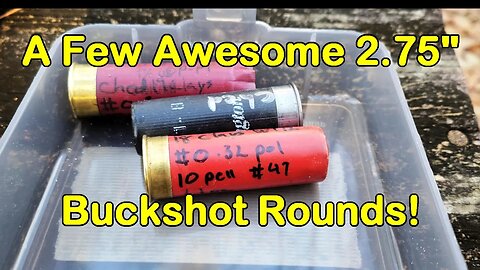 Testing some Great 2.75" Buckshot Rounds!