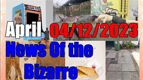 News Of The Bizarre 04 12 2023 Big Donkey Kong