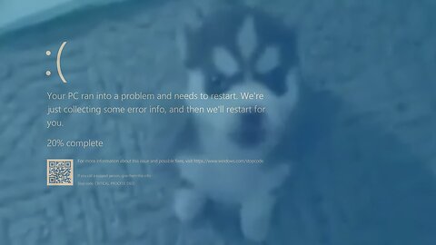 BSOD Husky