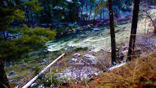 Cool clear Nevada mountain stream in February