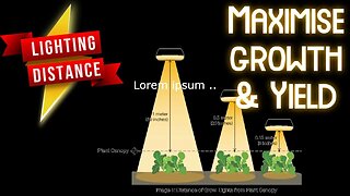 How to - Grow Light DISTANCE & INTENSITY for EXPLOSIVE GROWTH, HEALTHY PLANTS & HUGE YIELD!!