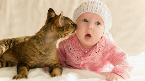 Cats Finding Cute Babies