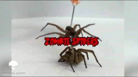Rice university have been making 'ZOMBIE' spiders & a strange creature was found in Brazil.