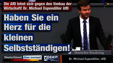 Die AfD lehnt sich gegen den Umbau der Wirtschaft! Dr. Michael Espendiller AfD