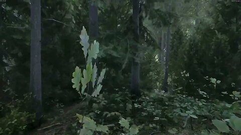 Unreal Engine 5 Look at this Old Forest In Kingdom Come Deliverance Beta