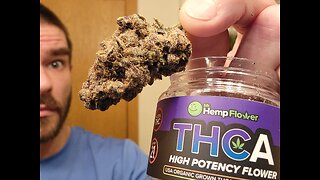 Peanut Butter Pie THCA Flower Review