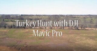 Turkey hunt with DJI Mavic Pro