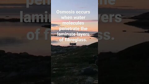 What is osmosis in fibreglass boats? #boating