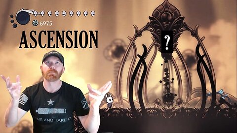 Hollow Knight - ASCENSION