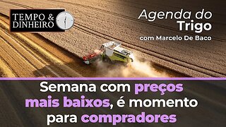 Semana com preços mais baixos, clima e estoques esfriam as altas, é momento para compradores