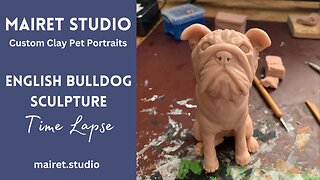 Sculpting an English Bulldog