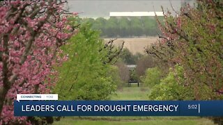 Central Valley leaders call on Newsom to declare a drought emergency