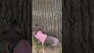 She really loves that tree